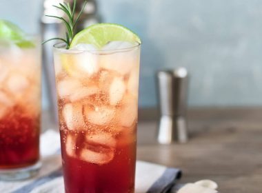 Sloe Gin Fizz