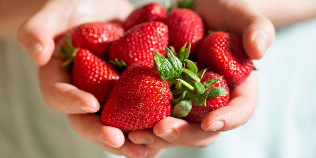 Extreme close up of a person holding a handful of fresh strawberries in a light bright home environment.