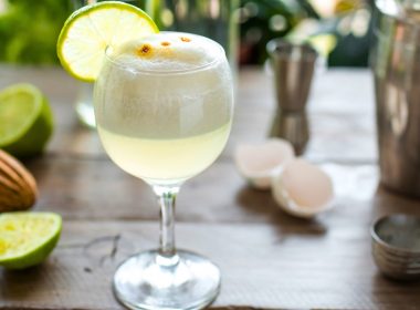 Gin Sour